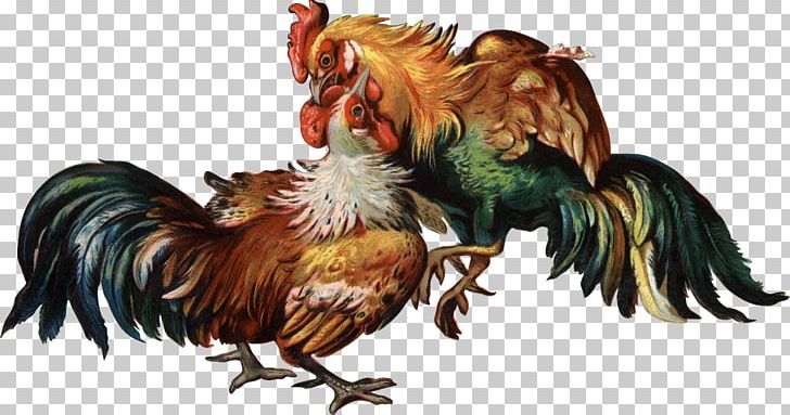 Sabung Ayam Online Modern: Aksi Seru Arena Digital dengan Bonus Fantastis